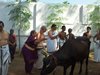 Ramanda Saraswati Aradhanai Go Pooja 1